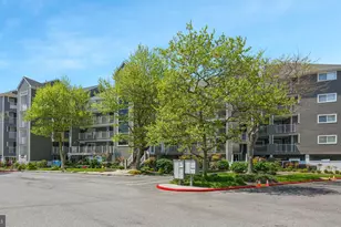 423 14th St, Ocean City, MD 21842 - Photo 1