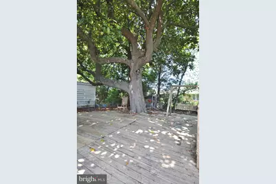 1012 Market Street, Pocomoke City, MD 21851 - Photo 24