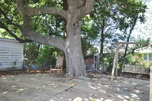 1012 Market St, Pocomoke City, MD 21851 - Photo 24