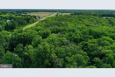 Worcester Highway, Newark, MD 21841 - Photo 10