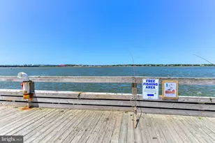 203 5th St, Ocean City, MD 21842 - Photo 24