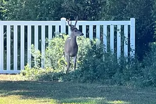 12407 Pegleg Way, Berlin, MD 21811 - Photo 80