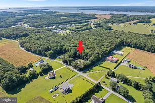 11920 Back Creek Rd, Bishopville, MD 21813 - Photo 4