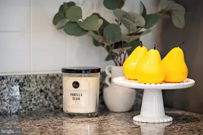 13506 Yellow Banks Court, Ocean City, MD 21842 - Photo 30