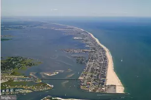 224 Flounder Ln, Ocean City, MD 21842 - Photo 16