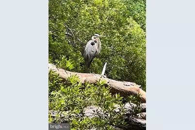 8566 N Longboat Way, Berlin, MD 21811 - Photo 94