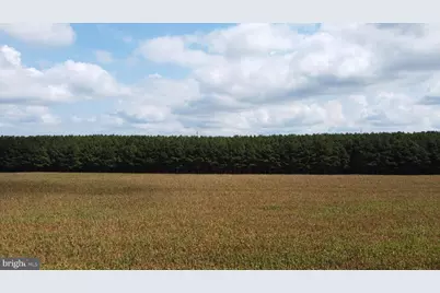 5449 Shell Road, Snow Hill, MD 21863 - Photo 34