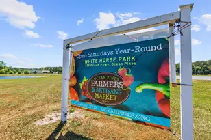 31 Nottingham Ln, Berlin, MD 21811 - Photo 44