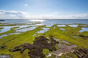 121 81st St, Ocean City, MD 21842 - Photo 56