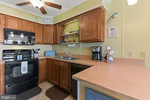 3701 Coastal Hwy, Ocean City, MD 21842 - Photo 4