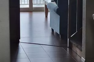 Ocean High Cm Wk40 32nd Street Extended, Ocean City, MD 21842 - Photo 8