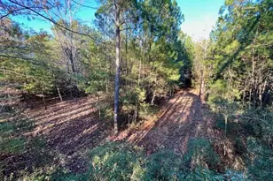 163 Hall Rd, Pocomoke City, MD 21851 - Photo 124