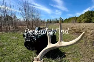 163 Hall Rd, Pocomoke City, MD 21851 - Photo 8