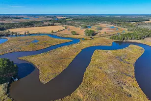 163 Hall Rd, Pocomoke City, MD 21851 - Photo 98