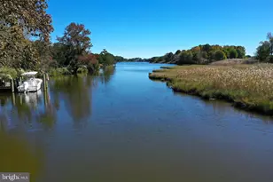 11212 Gum Point Rd, Berlin, MD 21811 - Photo 38
