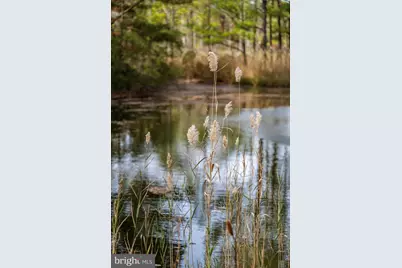 101 Mumfords Landing Road, Ocean Pines, MD 21811 - Photo 92