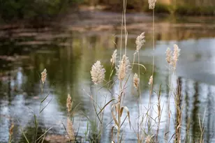 101 Mumfords Lndg Rd, Ocean Pines, MD 21811 - Photo 92