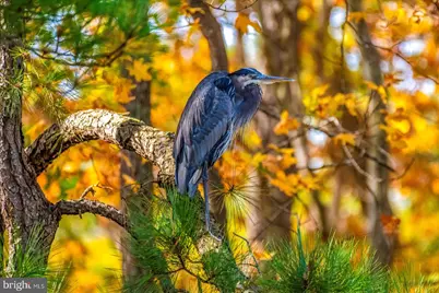 101 Mumfords Landing Road, Ocean Pines, MD 21811 - Photo 106