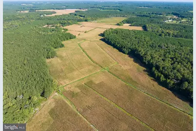 0 Greenbriar Swamp Road, Salisbury, MD 21804 - Photo 6