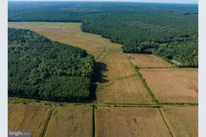 0 Greenbriar Swamp Road, Salisbury, MD 21804 - Photo 18