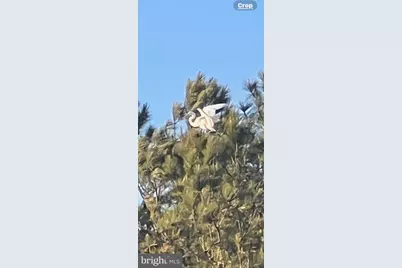 12020 Assateague Way, Berlin, MD 21811 - Photo 106