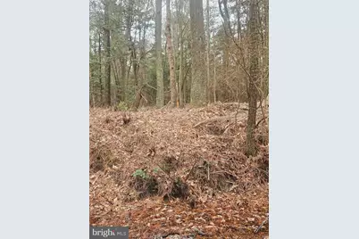 11530 Country Club Drive, Berlin, MD 21811 - Photo 56