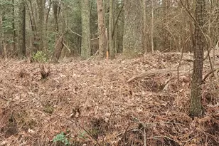 11530 Country Club Dr, Berlin, MD 21811 - Photo 56