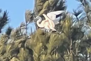 12033 Assateague Way, Berlin, MD 21811 - Photo 102