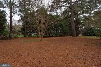 10641 Piney Island Drive, Bishopville, MD 21813 - Photo 70
