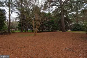 10641 Piney Island Dr, Bishopville, MD 21813 - Photo 70