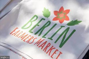 408 Flower St, Berlin, MD 21811 - Photo 24