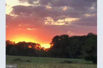 11910 Back Creek Road, Bishopville, MD 21813 - Photo 56