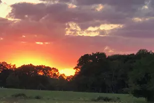 11910 Back Creek Rd, Bishopville, MD 21813 - Photo 56