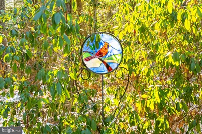 29 Pinehurst Road, Ocean Pines, MD 21811 - Photo 50