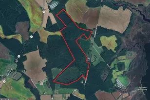 0 Greenbackville Rd, Stockton, MD 21864 - Photo 1