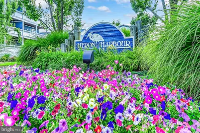 202 S Heron Drive #104B, Ocean City, MD 21842 - Photo 62