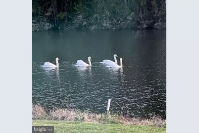 8334 S Longboat Way, Berlin, MD 21811 - Photo 96