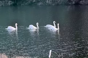 8334 S Longboat Way, Berlin, MD 21811 - Photo 96