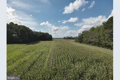 Blueberry Road, Whaleyville, MD 21872 - Photo 42