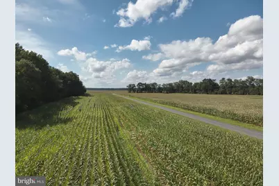 Blueberry Road, Whaleyville, MD 21872 - Photo 40