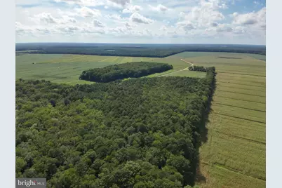 Blueberry Road, Whaleyville, MD 21872 - Photo 18