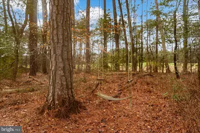 11652 Maid At Arms Lane, Berlin, MD 21811 - Photo 52