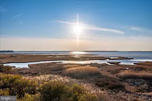 106 83rd St, Ocean City, MD 21842 - Photo 42