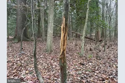 0 Fleming Mill, Pocomoke City, MD 21851 - Photo 4