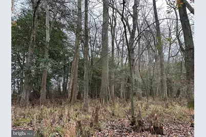 0 Fleming Mill, Pocomoke City, MD 21851 - Photo 2
