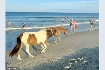 Stephen Decatur Highway, Ocean City, MD 21842 - Photo 26