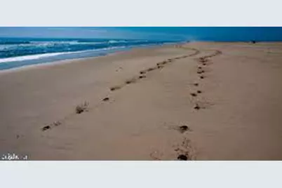 Lot 8 Stephen Decatur Hwy, Berlin, MD 21811 - Photo 14