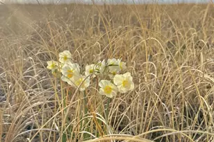 6201 Atlantic Ave, Ocean City, MD 21842 - Photo 88