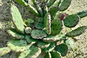 6201 Atlantic Ave, Ocean City, MD 21842 - Photo 20