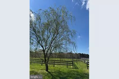 12740 Jarvis Road, Bishopville, MD 21813 - Photo 4